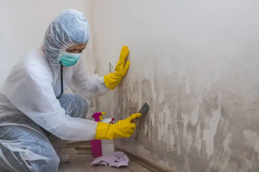 water damage restoration service The Settlement